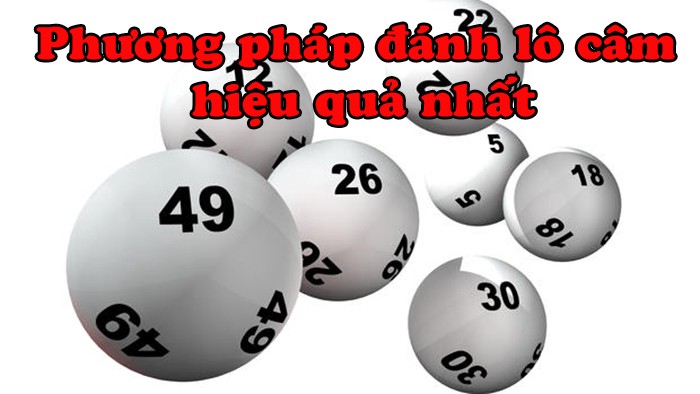 đầu 8 lô câm nên đánh gì và không nên đánh gì