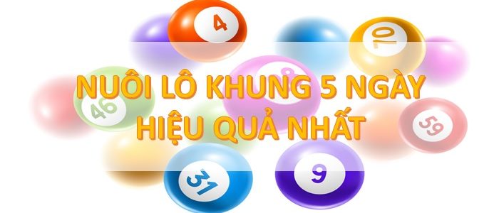 bí quyết nuôi lô khung 5 ngày cực hiệu quả