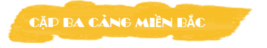 nhận xs cặp 3 càng víp miền bắc víp