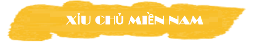 nhận xs xíu chủ miền nam víp